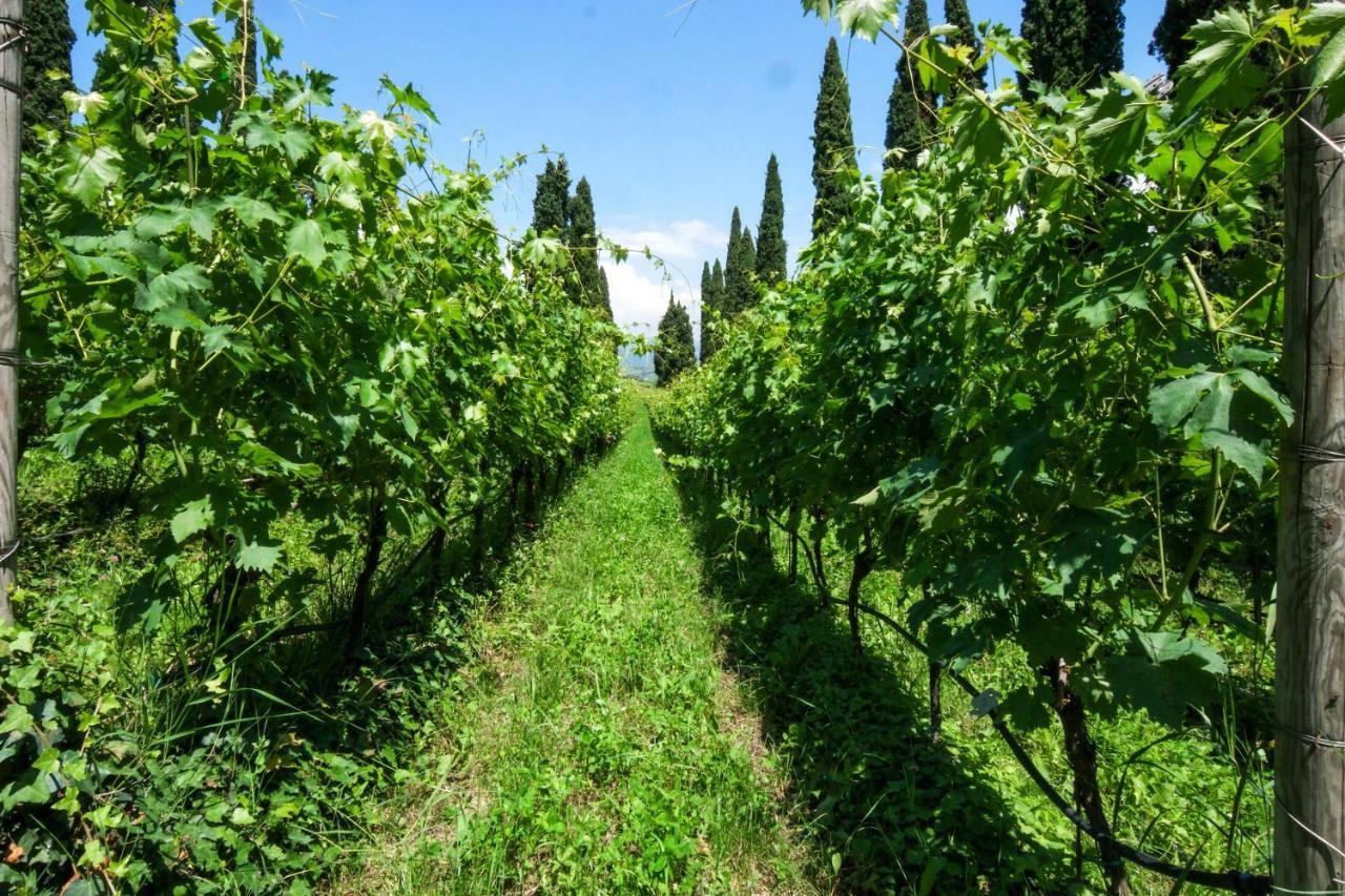 Villa Betteloni Valpolicella Suites San Pietro in Cariano Exteriér fotografie