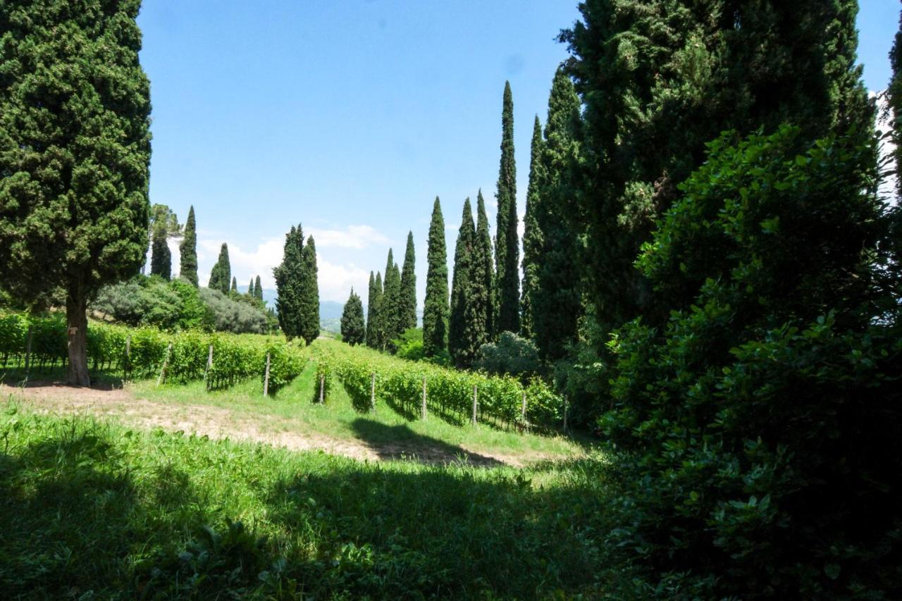 Villa Betteloni Valpolicella Suites San Pietro in Cariano Exteriér fotografie